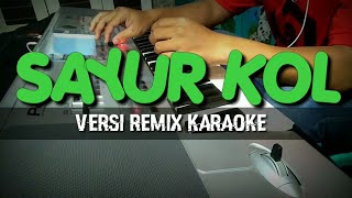 SAYUR KOL  REMIX  KARAOKE  Cover [upl. by Sitoeht]