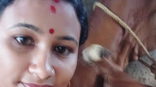 kalyani vlogs is live [upl. by Etolas]