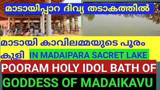 Pooram kuli in wonderful Madayipara lake മാടായി കാവിൽ അമ്മയുടെ പൂരം കുളി മാടായി അൽഭുത തടാകത്തിൽ [upl. by Anazraf299]