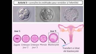 SVT 2nde  23 lassistance médicale à la procréation 12 [upl. by Joscelin405]