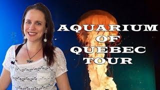 Tour of the Aquarium of Quebec  Rare fish and inverts [upl. by Crescentia]