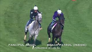 Fanciful Angel and Beach Patrols Final Workout for the Breeders Cup [upl. by Nnylsia]