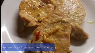 Slimming World Slow Cooker Pork Chops [upl. by Maharg61]