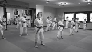 Karate Schule Rheinfelden [upl. by Jarrett]