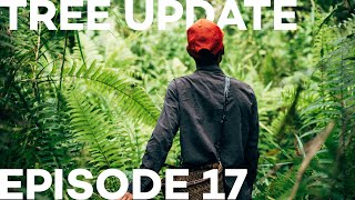 Tree Update Episode 17 [upl. by Enylorac]