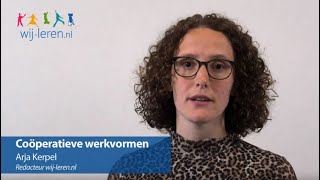 Coöperatieve werkvormen  Wijlerennl [upl. by Racklin]