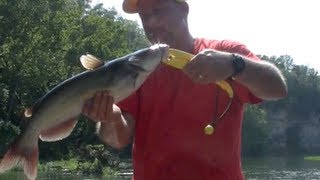 Catch a Channel Catfish in 4 MINUTES or less [upl. by Odeen623]