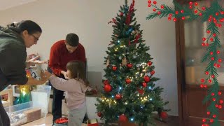 Alla fine ho ceduto 😅facciamo lalbero di Natale 😍🎄  Spesa INS  VLOG [upl. by Coppock]