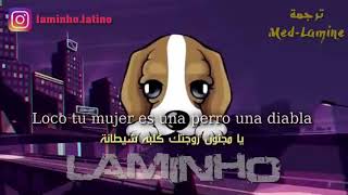 Loco Dog version [upl. by Iraam]