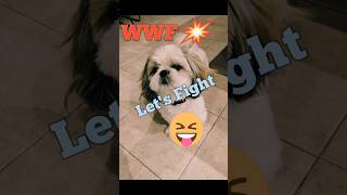 WWF time to trouble dogsfunnyvideos catsofinstagram catshortswwe wwf [upl. by Akenahc]