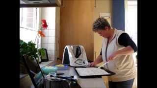 Thermomix TM 31 Herzhafter Flammkuchen [upl. by Ginny780]