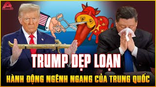 NHỮNG ĐIỀU ĐIÊN RỒ mà Trung Quốc đang NGHÊNH NGANG BÀNH TRƯỚNG Biển Đông TRUMP SẼ DẸP LOẠN  AP [upl. by Giselle]