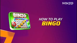 How to Play Bingo Game [upl. by Cordula]