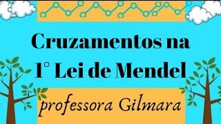 CRUZAMENTOS NA 1° LEI DE MENDEL  Professora Gilmara Matias [upl. by Idel]