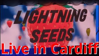 Lightning Seeds Live  4th Dec 2023 in Cardiff UK [upl. by Auqenat465]