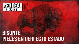 Red Dead Redemption 2  Bisonte Piel en Perfecto Estado [upl. by Isolda]