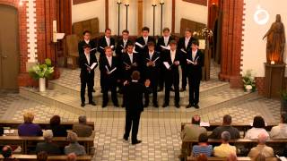 Heilig Franz Schubert  canta delysio [upl. by Cirek]