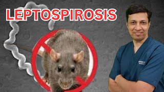 Leptospirosis lecture in hindi Leptospirosis treatment Weils disease in hindi [upl. by Joli]