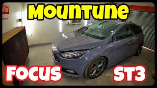 Mountune focus st3 disaster paint job repair [upl. by Deny]