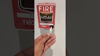 triga fire alarm system manual call point fire man tech shortsyoutubeshorts [upl. by Uke]