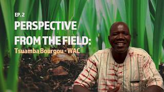 Strengthening Womens Rural Farming Initiatives In Agroecology [upl. by Elocen963]