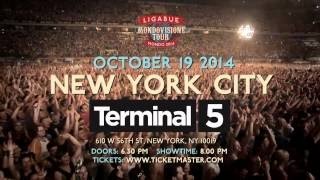 Ligabue  Ho Messo Via  Live  Terminal 5 New York 1080p [upl. by Ainoloppa255]