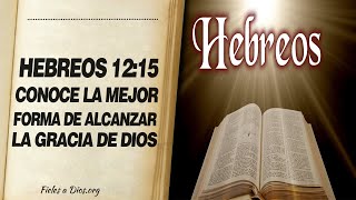 🙏 Hebreos 1215 – Conoce LA MEJOR FORMA DE ALCANZAR LA GRACIA DE DIOS 📖 [upl. by Alleunamme348]