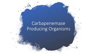 Carbapenemase Producing OrganismsWorldwide Problem [upl. by Odanref]