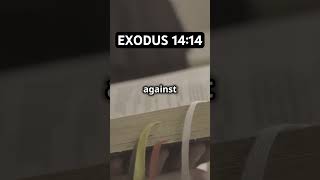 The LORD Fights For You  Exodus 1414  Bible Verses [upl. by Yttig545]