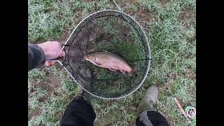 78 Another Great Days Fishing at Rockbourne Trout Fishery [upl. by Oak]