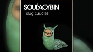 Soulacybin  Slug Cuddles  Full Album [upl. by Graig]