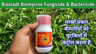 Biomycine fungicide amp bactericide use in hindi  Kasugamycine [upl. by Ahseryt]