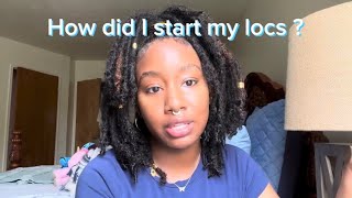 My Loc Journey  Loc QampA  4A4B Locs  Loc Advice [upl. by Namyw]