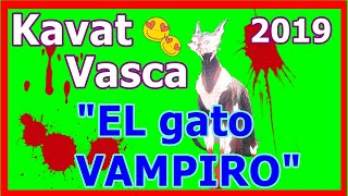 Warframe 👉 KAVAT VAMPIRO vasca Como CONSEGUIRLO  BUILD en ESPAÑOL 2019🐱❤️ [upl. by Zaria]