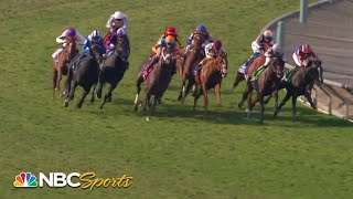 Breeders Cup 2023 The Turf FULL RACE  NBC Sports [upl. by Atterol]