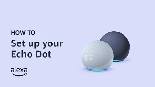 How to set up your Echo Dot 5th Gen  Amazon Echo [upl. by Samy605]