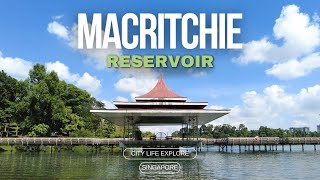 Nature Trekking MacRitchie Reservoir Singapore City [upl. by Odlonra]