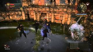 Witcher 2 Nilfgaardian Fight [upl. by Ziul]