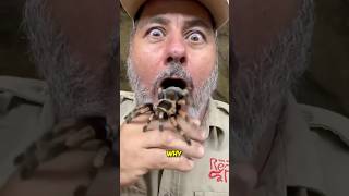 This is Why You Should Never Squash a Spider 😨 [upl. by Anyal]