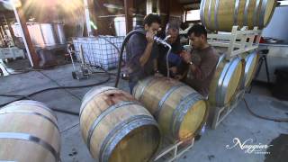 Vine to Wine Winemaking at Naggiar Vineyards [upl. by Garges691]