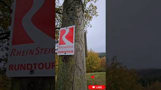 Rheinsteig Rundtour im Klischee Herbst  Rauenthaler Spange [upl. by Wharton]