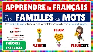 Vocabulaire  les familles de mots [upl. by Redmer824]