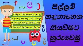 pillam warga  pillam huruwa sinhala pillam padama  BMCeducation SL [upl. by Nayar]