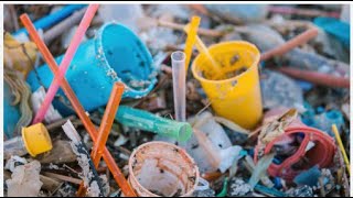 CONFERENCE TO END PLASTICS WHICH WILL NEVER ALLOW ENDING PLASTICS [upl. by Donelle]