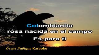 Colombianita  Reynaldo Armas  Karaoke [upl. by Rodrigo]