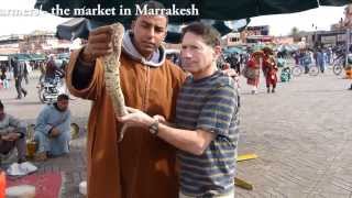 Snake charmer in Morocco [upl. by Pippas]