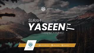 Surah Yaseen Qari Tareq Mohammed [upl. by Astraea]