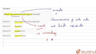 Which I gynandromorph type of animal [upl. by Lenneuq]