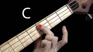 Learn Bass Guitar  Scales amp Chord Tones  part 1 [upl. by Dorinda582]