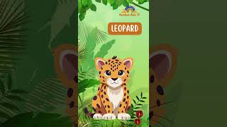 Wild Animal English Safari Learn English with Exotic Animals [upl. by Kcirddehs]